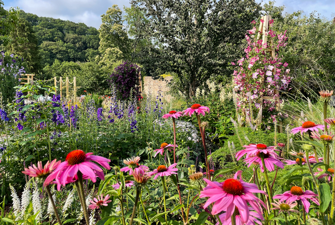 Summer styles in the garden.