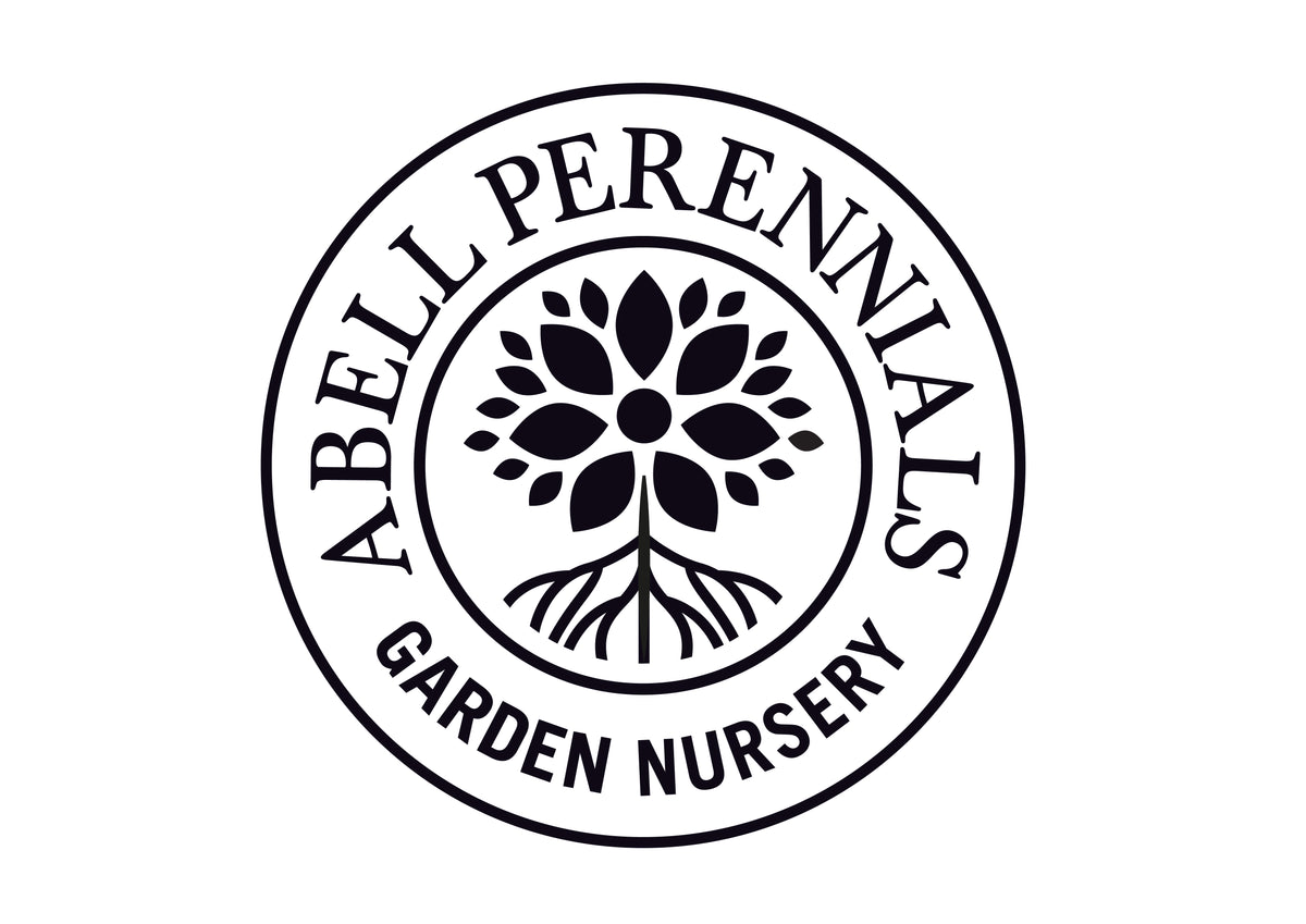 Growing Methods Abell Perennials